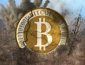 Bitcoin crash 2013